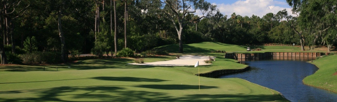 TPC Sawgrass - Hole 13 HERO