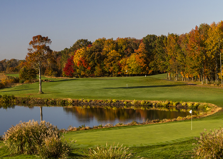 Mercer Oaks