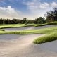 Best Public Golf Courses in Tampa