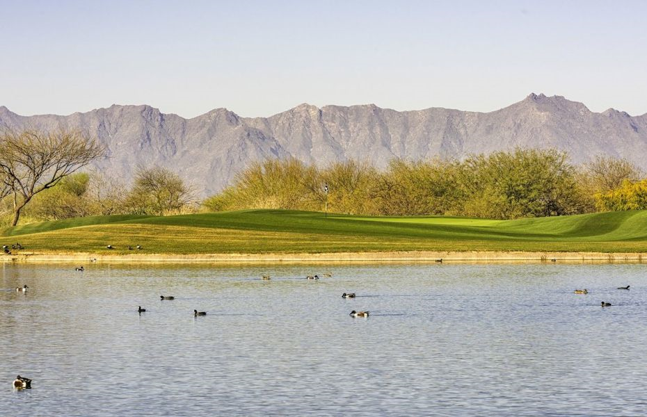 best golf courses in Arizona